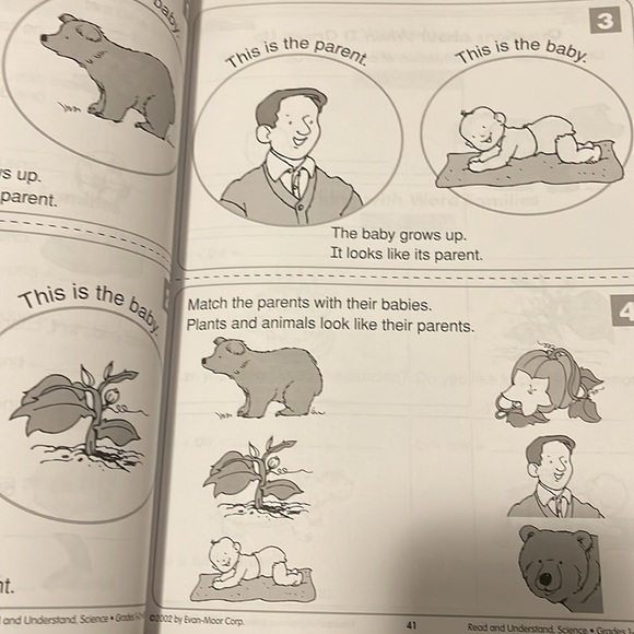 Read and Understand Science Earth, Space, Life Technology and Physical Sciences - Picture 4 of 6